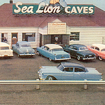 Historical Photo of Sea Lions Caves